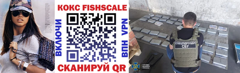 Cocaine FishScale  Купить закладки  Дигора 