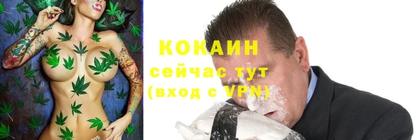 spice Новодвинск