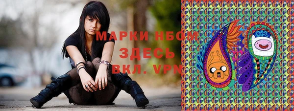 spice Новодвинск