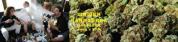 spice Новодвинск