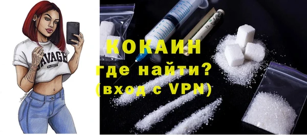 spice Новодвинск